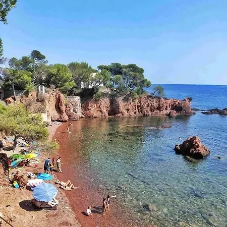 Alando * Saint-Raphaël